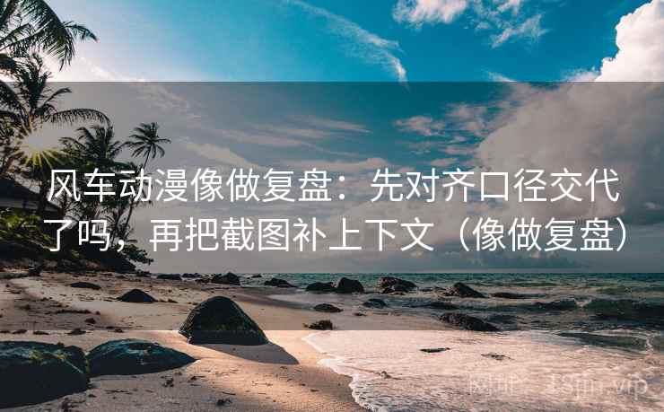 风车动漫像做复盘：先对齐口径交代了吗，再把截图补上下文（像做复盘）  第2张